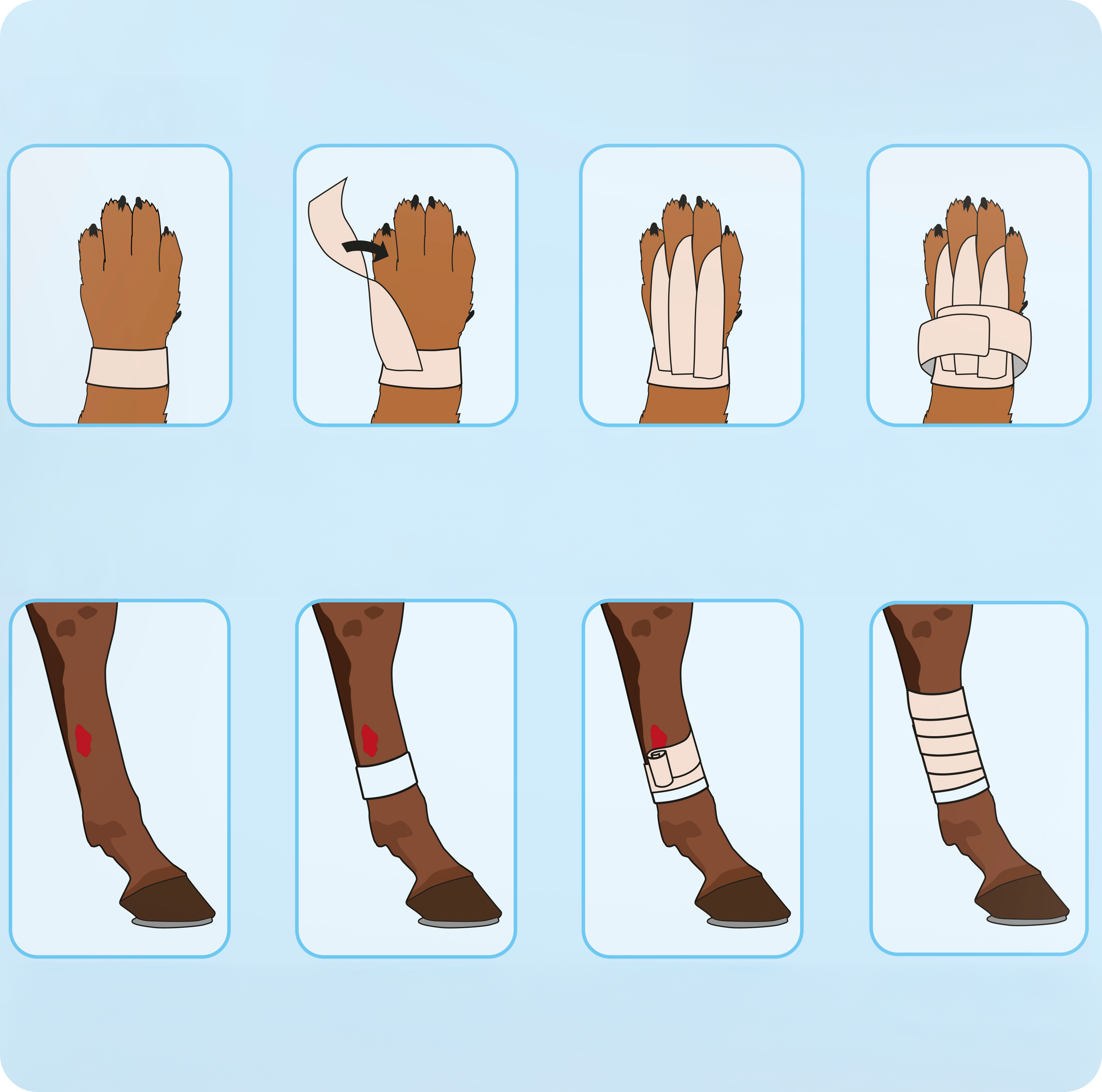 visual instructions displaying how to wrap an animal paw and leg